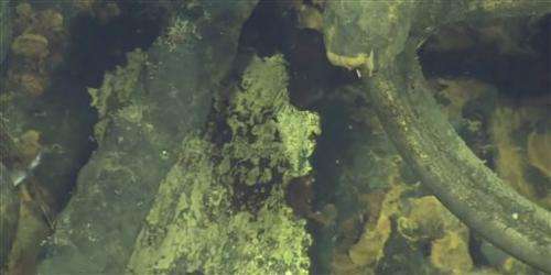 Japanese battleship blew up under water, footage suggests (Update)