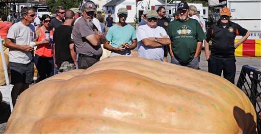 How do you grow a 2,000-pound pumpkin? It's complicated