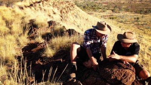 Fossil find uncovers ancient evolutionary pattern