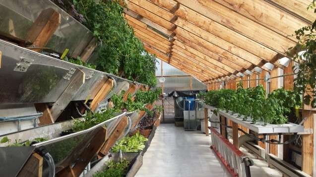 How Sustainable Is Vertical Farming