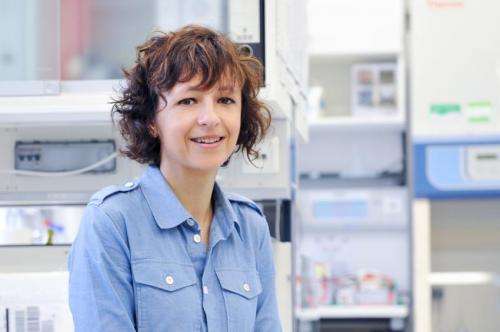 Louis-Jeantet-Prize for Medicine goes to Emmanuelle Charpentier