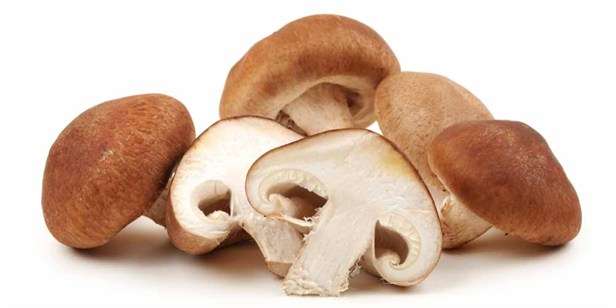 Mushrooms boost immunity