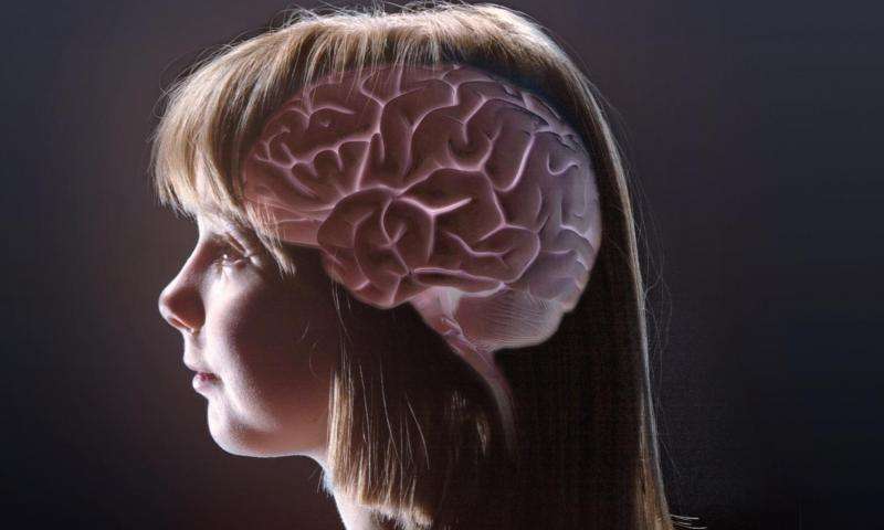 New ASU research on sense of smell could help pinpoint causes of brain diseases