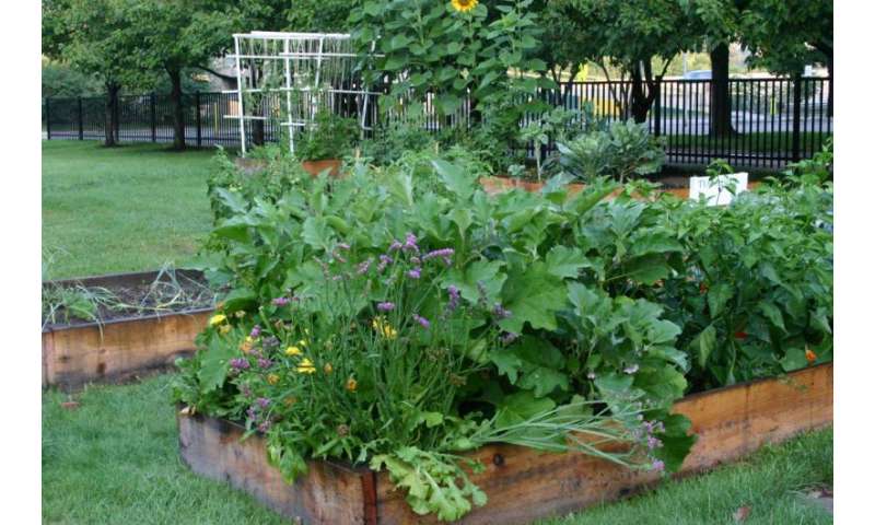 NIFA grant aims to assure food safety in urban gardens of Detroit