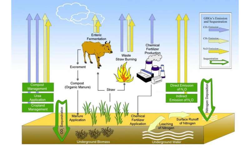 Organic farming can reverse the agriculture ecosystem from a carbon source to a carbon sink