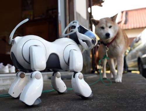 pictures of robot dogs