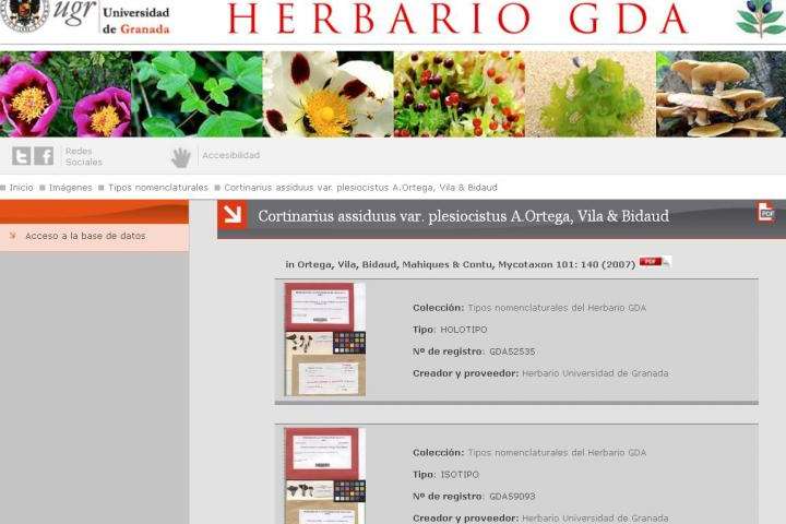 Types of fungi and lichens at the Herbarium of the University of Granada available on-line