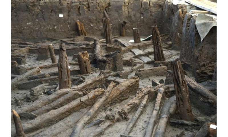 Bronze Age stilt houses unearthed in East Anglian Fens