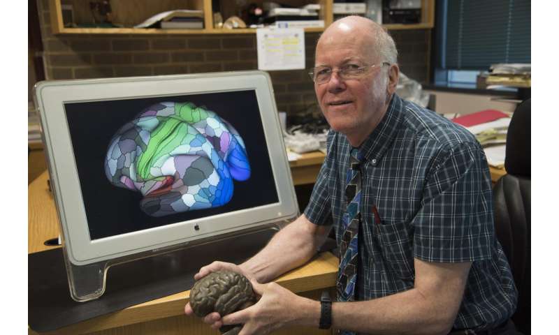 Map provides detailed picture of how the brain is organized