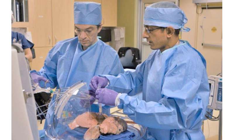 Surgeons test technology with potential to expand lung transplant donor pool