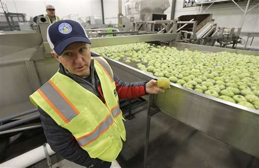 Washington's new apple joining a changing industry