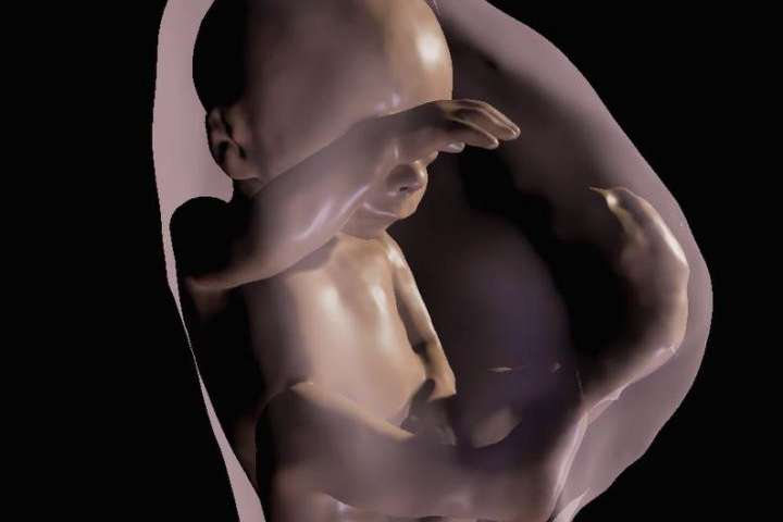 研究人员生成了未出生婴儿的3d虚拟现实模型