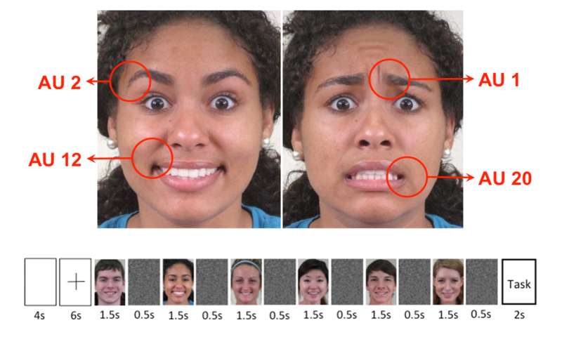 Researchers pinpoint part of the brain that recognizes facial expressions