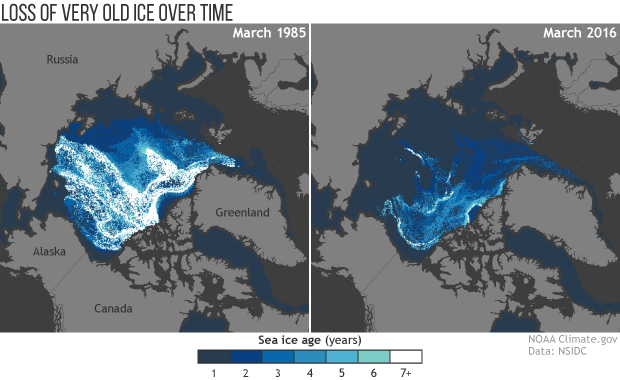 Unprecedented Arctic warmth in 2016 triggers massive decline in sea ice, snow