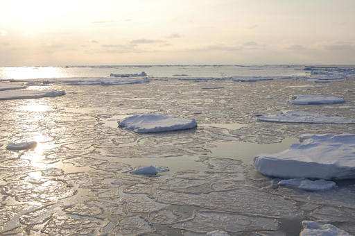 Study links human actions to specific Arctic sea ice melt