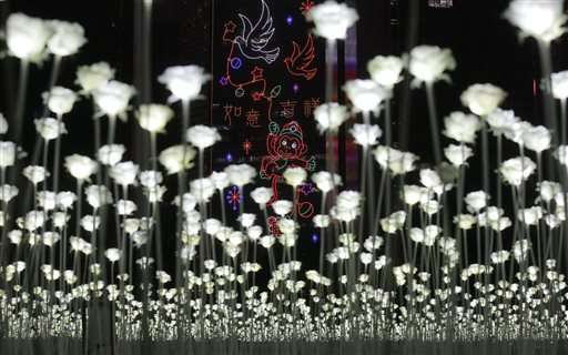 Hong Kong hosts Valentine's Day with 25,000 LED roses