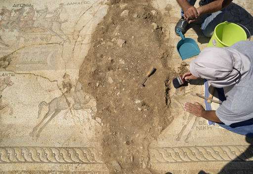 Rare 4th-century mosaic of chariot race found in Cyprus