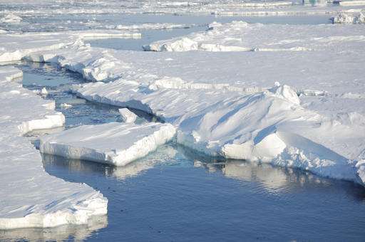 Study links human actions to specific Arctic sea ice melt