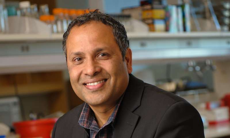 UT Southwestern researcher receives prestigious NIH award