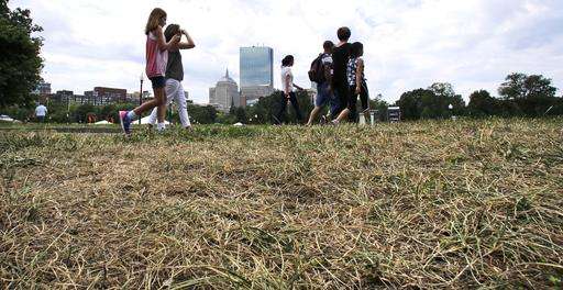 Drought hits Northeastern US, could last months