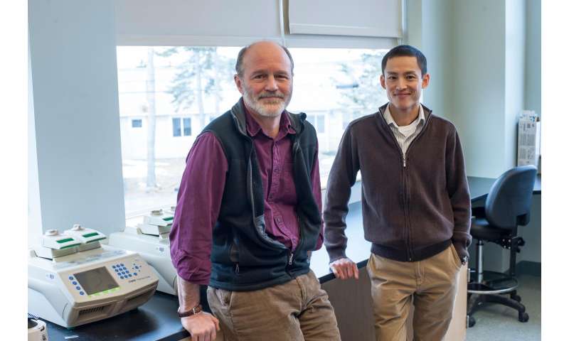 MDI Biological Laboratory scientists awarded patent for potential new heart disease drug