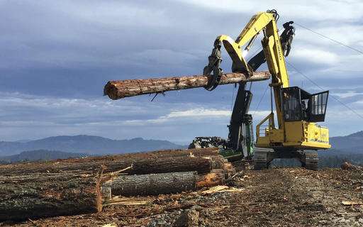 New wood technology may offer hope for struggling timber