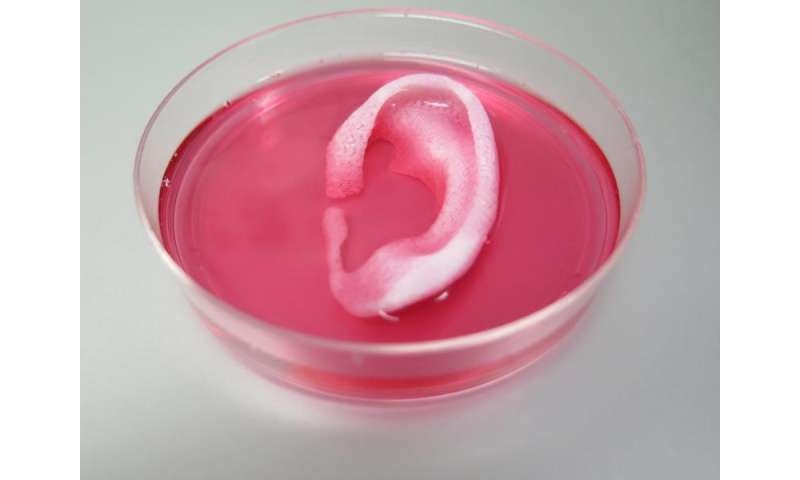 Scientists prove feasibility of 'printing' replacement tissue