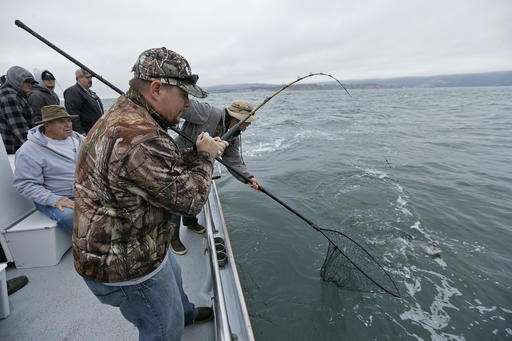 California's native salmon struggling in fifth year of drought