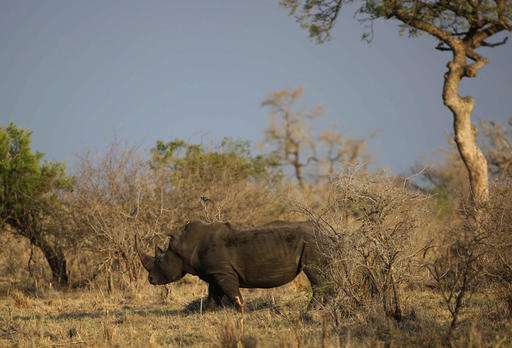 Top African wildlife park looks to villages to stop poachers