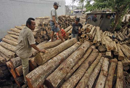 EU hopes licensing system will help save Indonesian forests