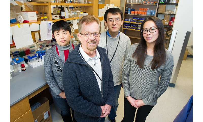 Researchers spur growth of healthy “brown fat” with experimental drug Roscovitine