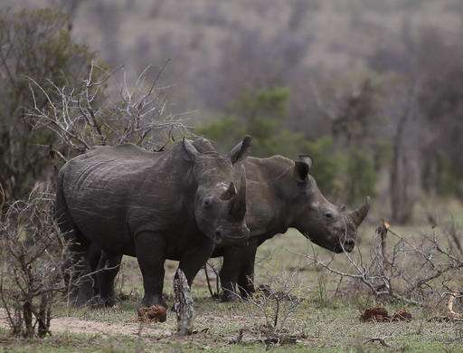Top African wildlife park looks to villages to stop poachers