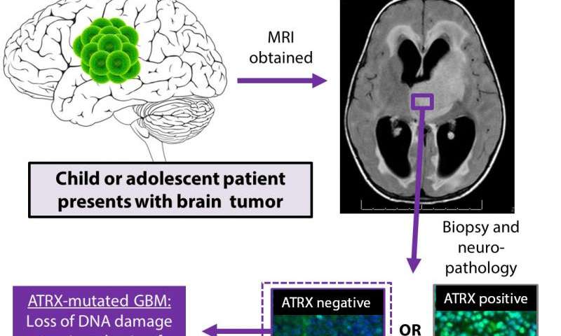 A new weapon in the fight against children's brain tumors developed at U-M