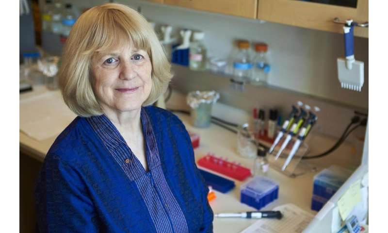 Appeal of 'genetic puzzles' leads to National Medal of Science for UW's Mary-Claire King