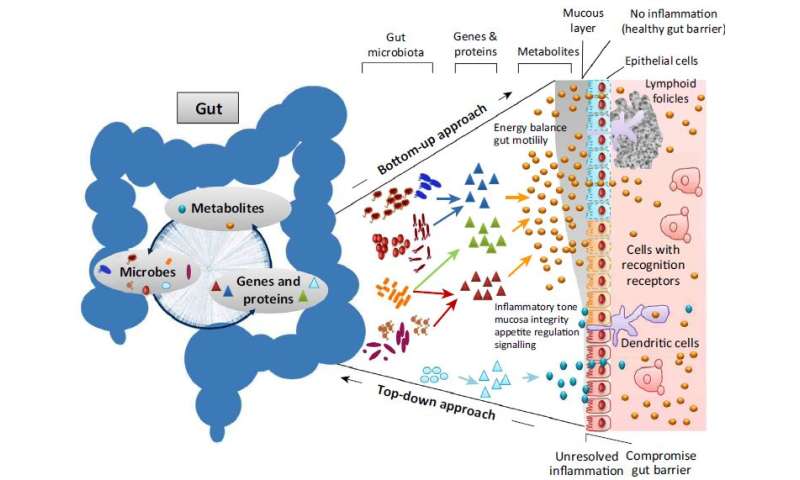 Image result for BALANCING THE GUT MICROBIOME