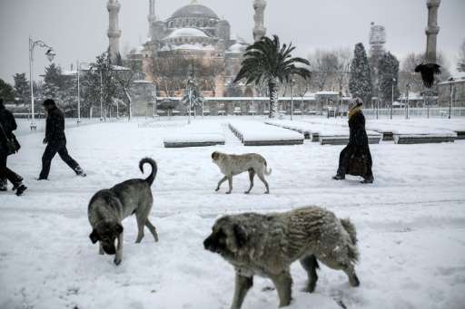 Weather in istanbul in december