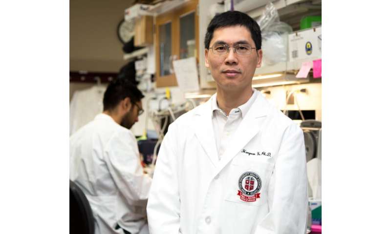 Professor receives grant to identify genes that keep HIV latent
