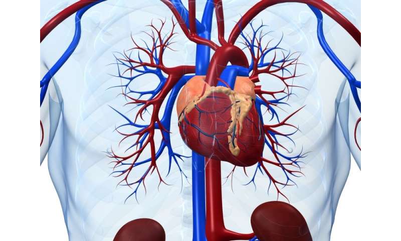 Vagal nerve stimulation can lead to cardiac complications