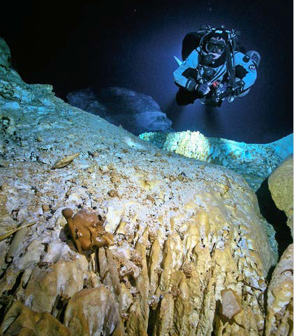 Ice age era bones recovered from underwater caves in Mexico