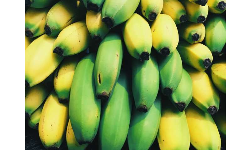 dextrose vs banana