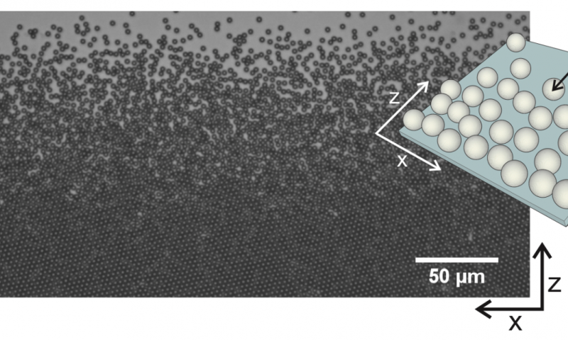 Two-dimensional melting of hard spheres experimentally unravelled after 60 years