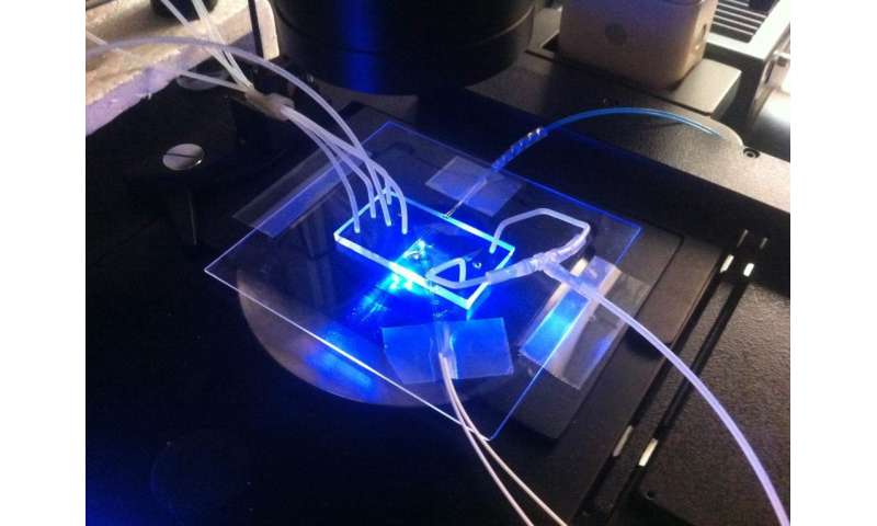 Researchers develop a device that detects tumour cells in blood