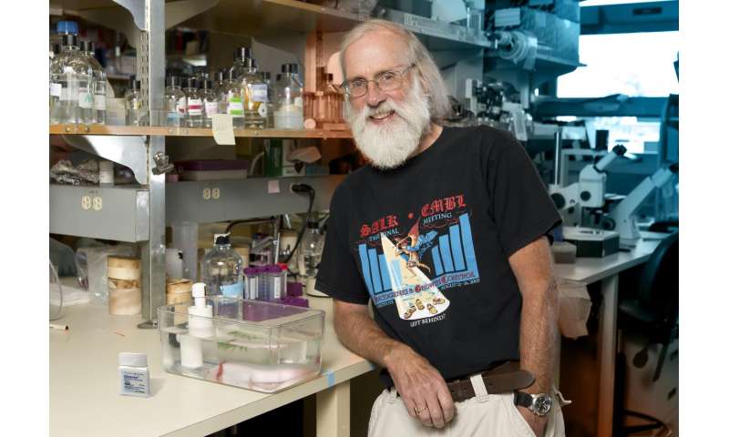 Salk scientist awarded inaugural Sj&amp;#246;berg Prize for cancer breakthrough