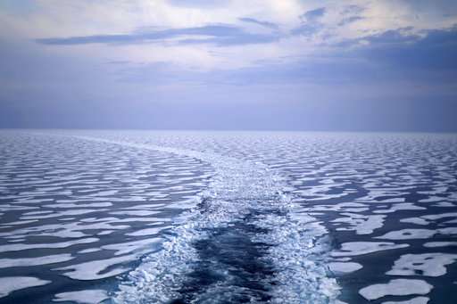 Arctic voyage finds global warming impact on ice, animals