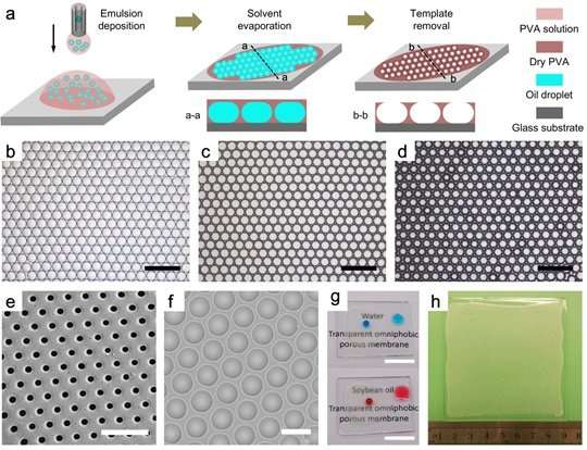 Innovative, ideal liquid-repellent surfaces developed
