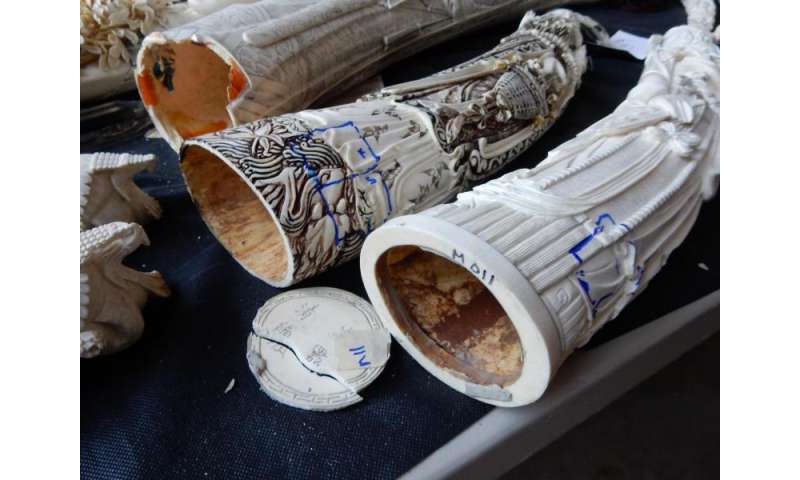 Fighting ivory trafficking with forensic science