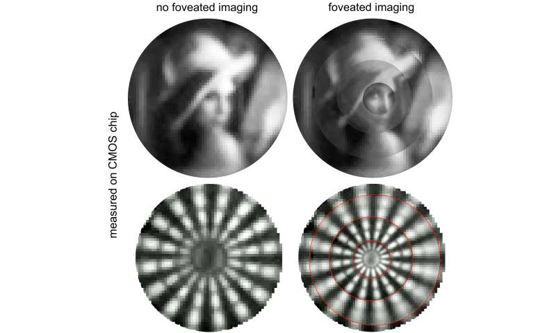 Tiny foveated imaging camera mimics eagle vision