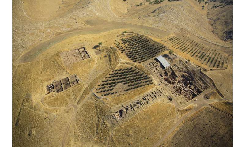 Skull fragments with carved long, deliberate lines found at Gobekli Tepe