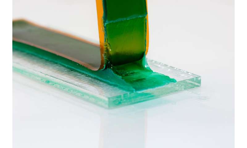 New superglue allows for bonding stretchable hydrogels