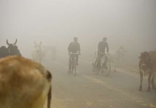 Anger rises as toxic air chokes India's capital